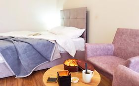 Dani Lux Belgrade Center Studio Apartment